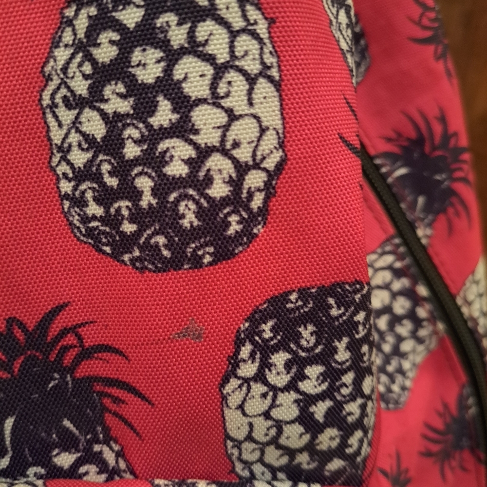 Quicksilver Hot Pink Backpack - image 6